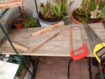 Ma petite table improvisé dans ma serre à cause de la pluie