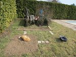 potager 2012.jpg