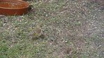P1040276-2.jpg