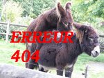 ERREUR 404.jpg