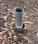 forage1.jpg