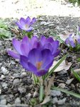 DSC02579.JPG