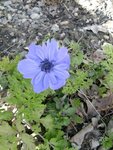 DSC02580.JPG