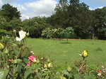 06 2010 le 02 le verger.JPG