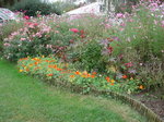 octobre 2011 le 10 automne derrière la serre_redimensionner.JPG