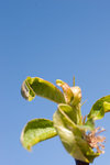 DSC01412-mini.jpg
