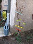 3 (Copier) taille.jpg