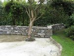Jardin étang et terrasse  (5).jpg
