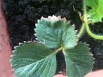 IMG_0436.JPG