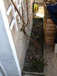 IMG_1944 (Copier).JPG