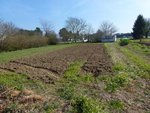 La plus grande parcelle retournée et tout ce qui a sur la gauche peut aussi être cultivé si besoin.
