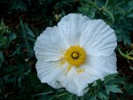 DSC00437.JPG
