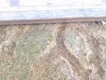 2012-03-20_11-58-17_44.jpg
