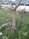 20120321_190103.JPG