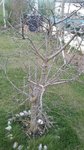 20120321_190053.JPG