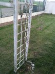 20120321_190035.JPG
