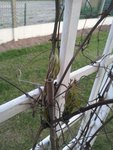 20120321_190044.JPG
