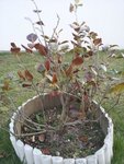 20120321_185957.JPG