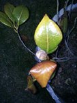 20120321_190007.JPG