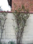 IMG_9846.JPG