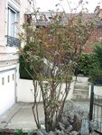 IMG_9850.JPG