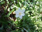 DSC00131.JPG