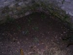 DSCN3756.JPG