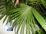 DSC02482.JPG