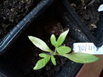 2012-03-25 10.36.21.jpg