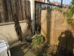 DSC00694.JPG