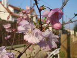 DSC00702.JPG