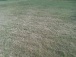 IMAG0092.jpg