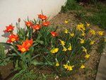 DSCF8138.JPG