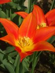 DSCF8141.JPG