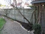 jardin-013.gif