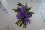 Fleurs mauves.JPG