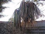 P1010009.JPG