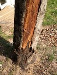 IMG_1520.jpg