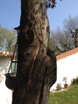 IMG_1521.jpg