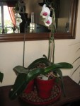 photo 014.jpg