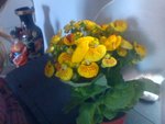 120403-091932.jpg