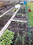 IMG_20120404_163643.jpg