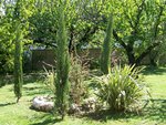 Voilà le massif il y a 1 an, trois cyprès de Provence, quelques conifères de rocaille et un grenadier fleur qui fleurit orange.