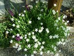 DSC02756.JPG