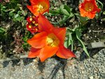 DSC02755.JPG