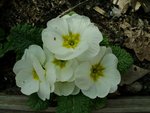 DSC02766.JPG