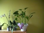 PIC_0414.JPG