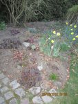 2012-03-25 remaniementx.jpg