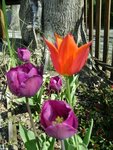 DSC02802.JPG
