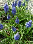 DSC02767.JPG